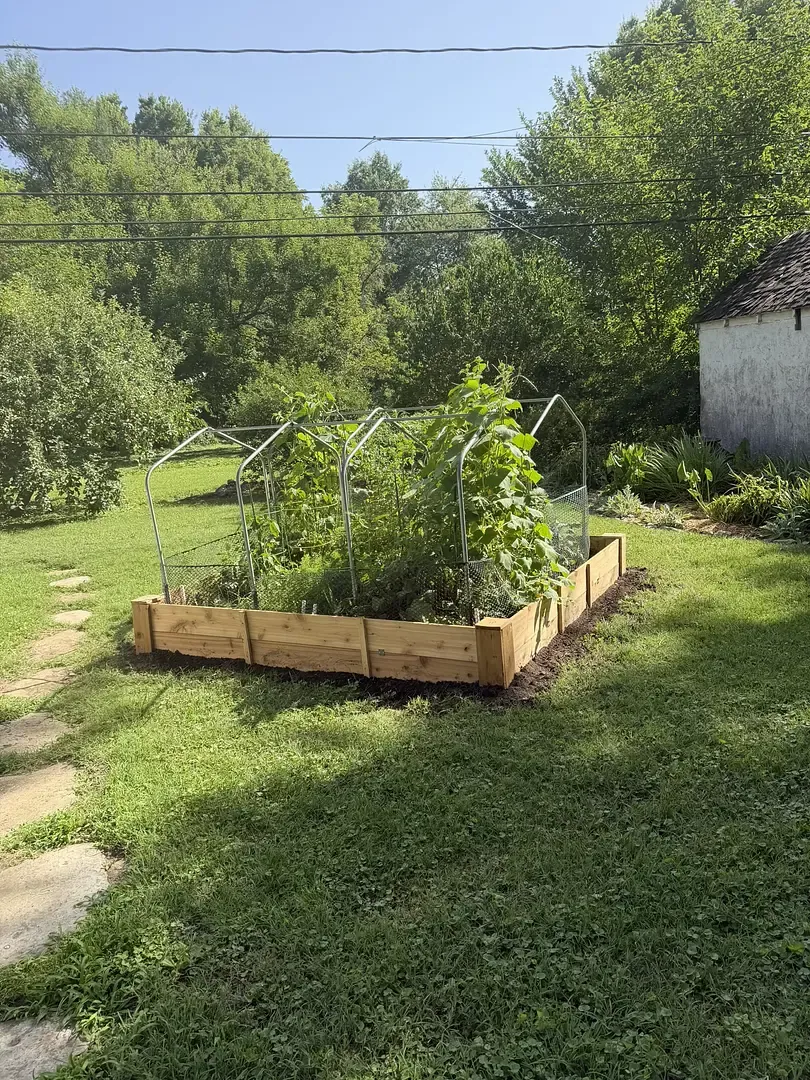 A raised vegetable bed built and sited for full sun, with a trellis in for climbing crops.