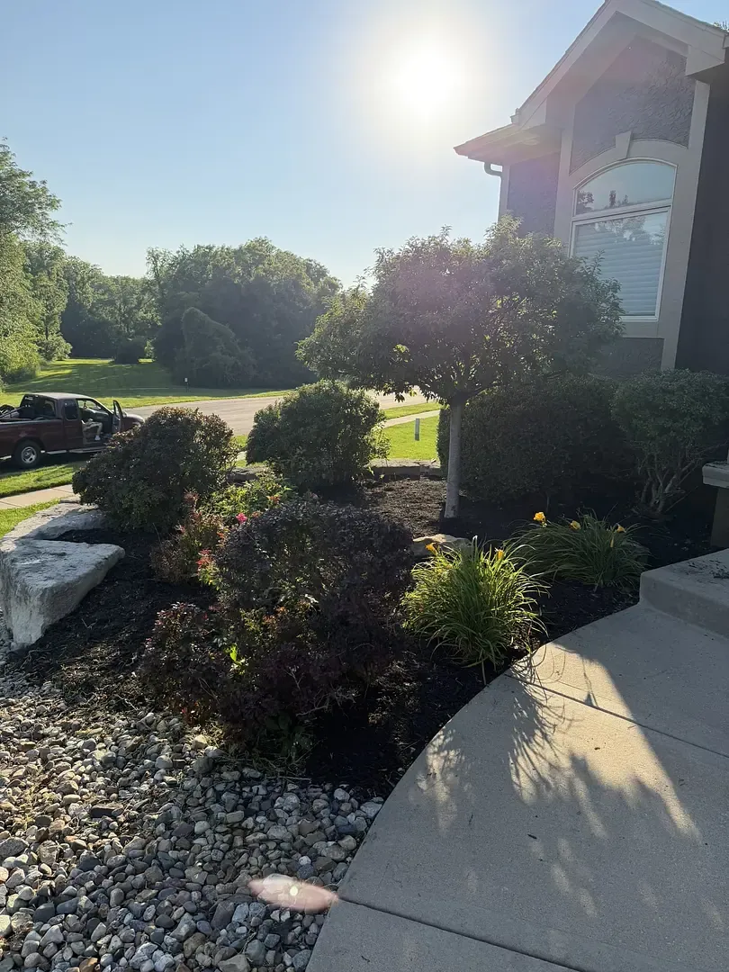 A maintained back lawn in late afternoon sun